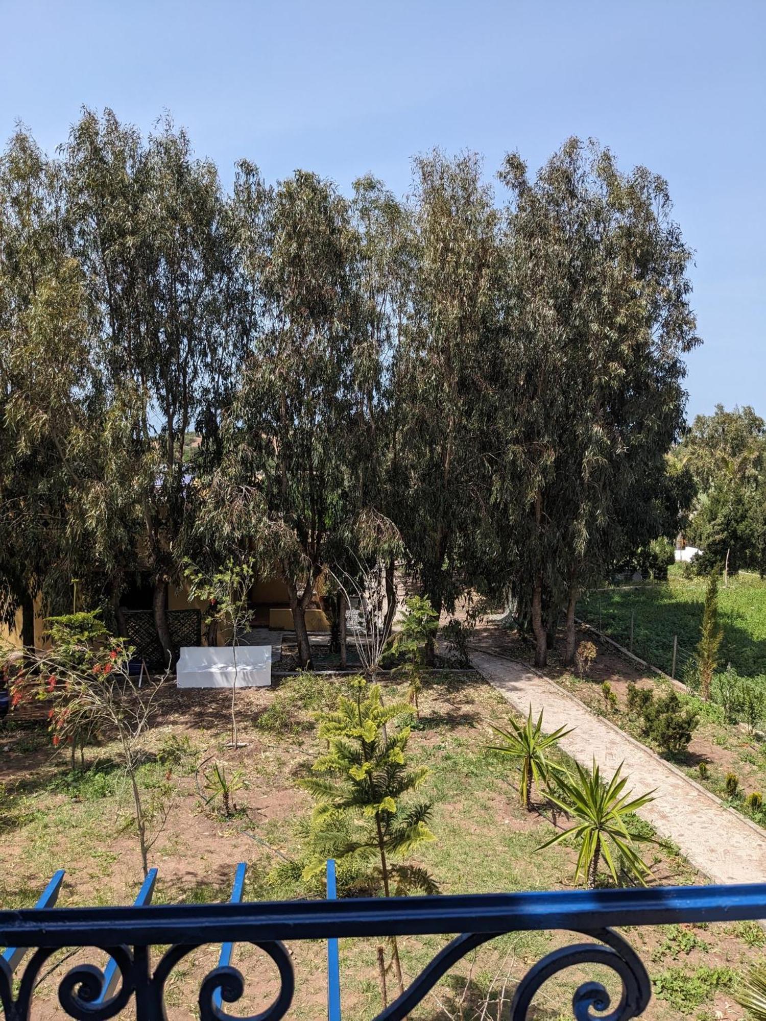 Mesdunes Azemmour Exteriér fotografie